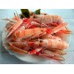 Креветка скампи 200-250гр